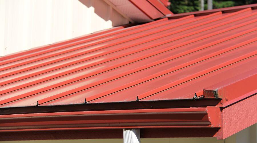 Industrial Roof Inspection in Salineno, TX